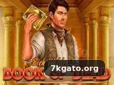 7kgato Bônus - 7kgato